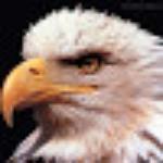 Flamboia Lanches Sucos e Acai